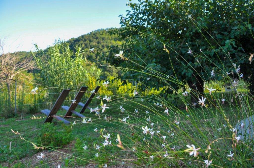 Monteciccardo Ca'Rosei 아파트 외부 사진